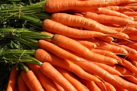 За по-голяма плодовитост яжте моркови
