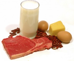 proteinov-metabolizam