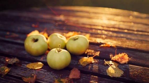 Топ храни за есенната ви диета